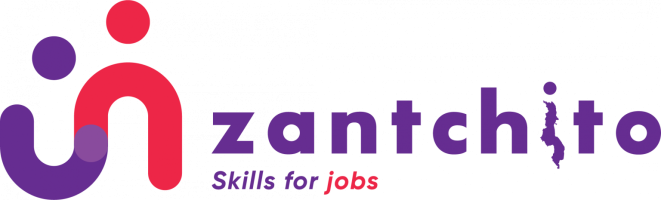 Zantchito — Skills for Jobs